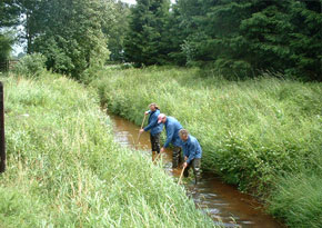 Ruimingswerken in actie