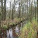 Vernatting natuurgebied 't Plat